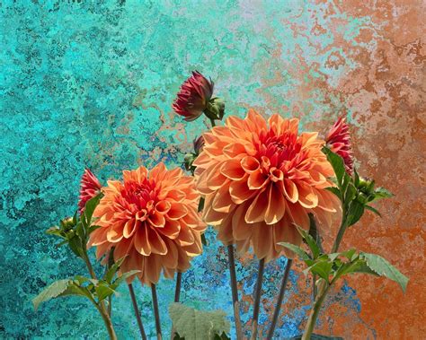 Dahlia Fallon: A Creative Force in Autumn