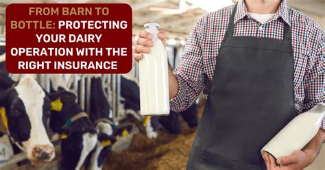 Dairy Farm Insurance: A Comprehensive Guide to Protection