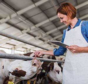 Dairy Plant Management Epub