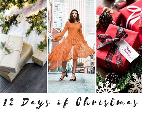 Daisies in December: Unlocking Holiday Joy for the 12 Days of Christmas