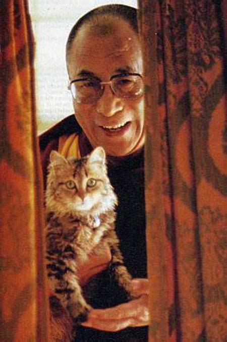 Dalai Lamas Cat David Michie Kindle Editon
