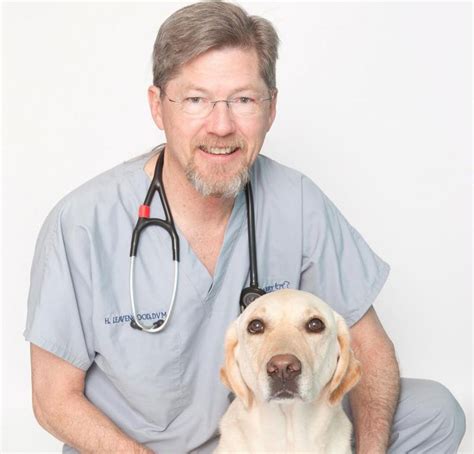 Dale Mabry Animal Hospital: A Comprehensive Guide to Your Pet's Healthcare