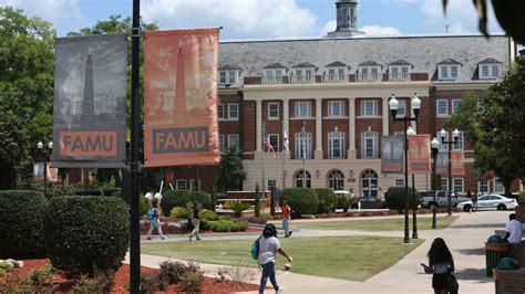 Dalemberts Solution Famu Fsu College Of Doc