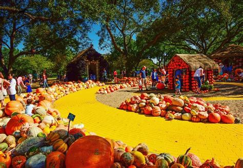 Dallas Arboretum's Pumpkin Patch Spectacular: A Fall Extravaganza