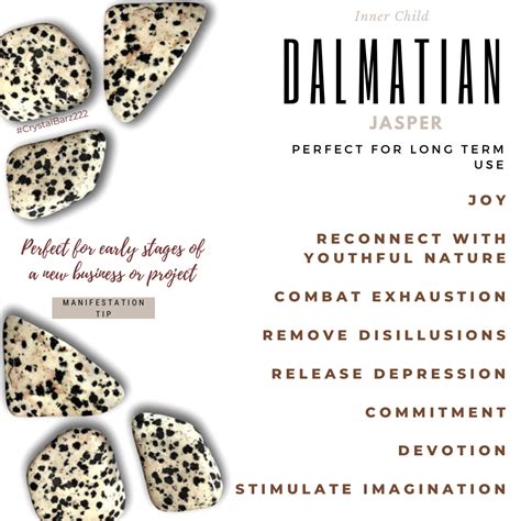 Dalmatian Jasper: A Guide to Its Meaning, Benefits, and Properties