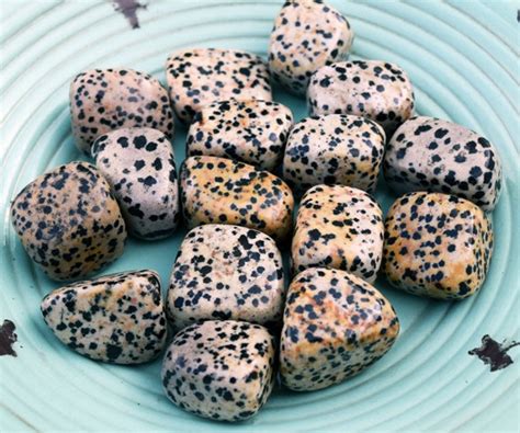 Dalmatian Jasper Stone: A Symbol of Joy, Playfulness, and Inner Child