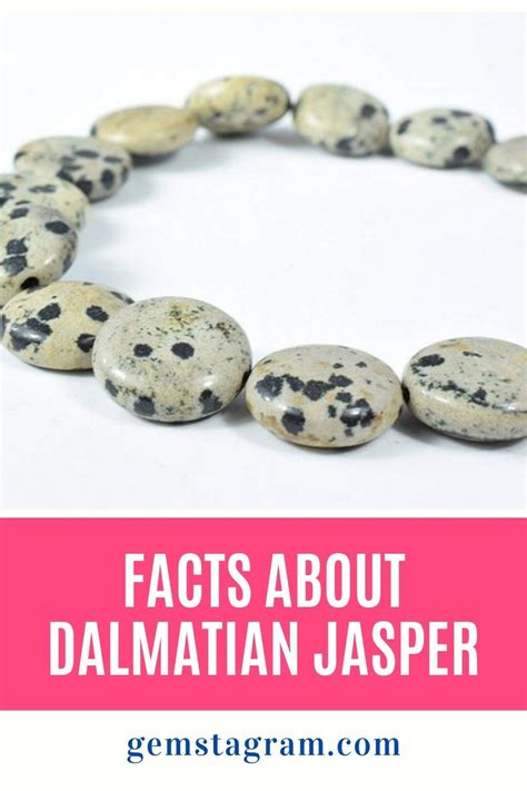 Dalmatian Jasper Stone Meaning: 7 Fascinating Insights & 23 Unique Applications