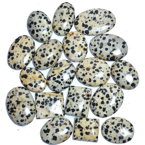 Dalmatian Jasper Stone Meaning: A Comprehensive Guide to Its Properties and Applications