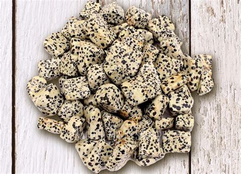 Dalmatian Jasper Stone Meaning: Nurturing Joy, Playfulness, and Loyalty