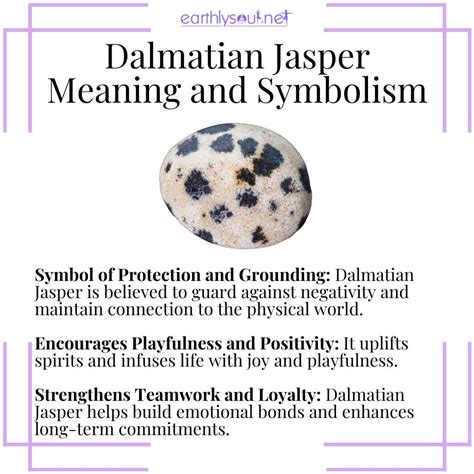 Dalmatian Jasper Stone Meaning: Unleashing Joy, Nurturing, and Protection