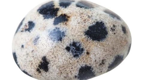 Dalmatian Stone: A Guide to Its Unique Properties and Applications