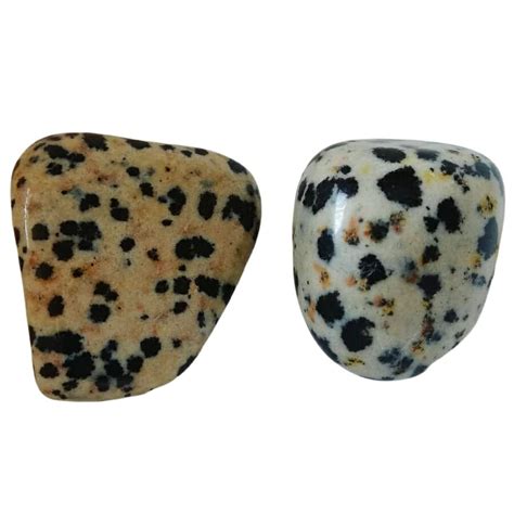 Dalmatian Stone: A Symphony of Spots and Strength