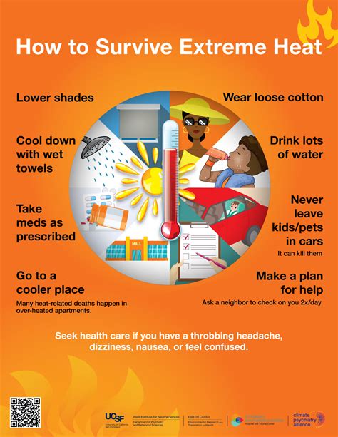 Damned Heat: Exploring the Impact and Coping Strategies of Extreme Heat