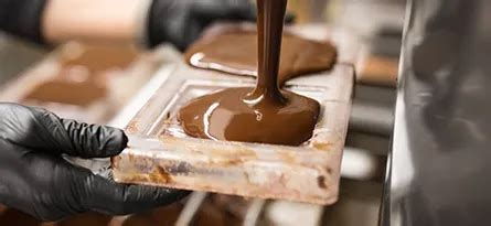 Daphnelicious: Exploring the Sweet Science of Chocolate and Beyond