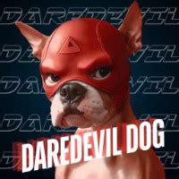 Daredevil Mask Dog: The Ultimate Guide