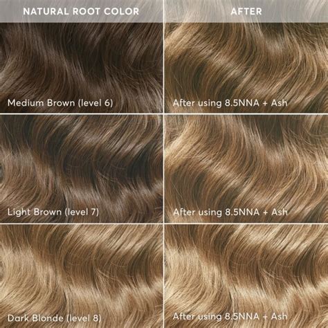 Dark Ash Blonde Color Chart