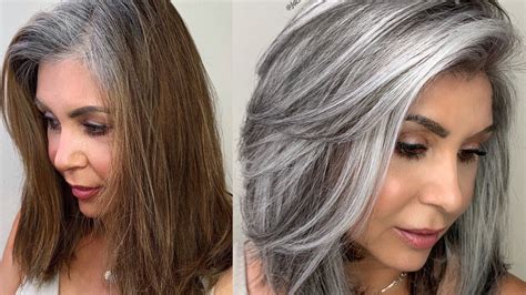 Dark Brown to Gray Hair: A Natural Transformation