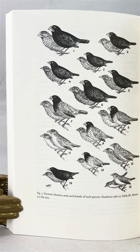 Darwin's Finches Readings in the Evolution of a Scientific Paradigm Kindle Editon