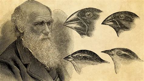 Darwin's Legacy: A Catalyst for Scientific Revolution