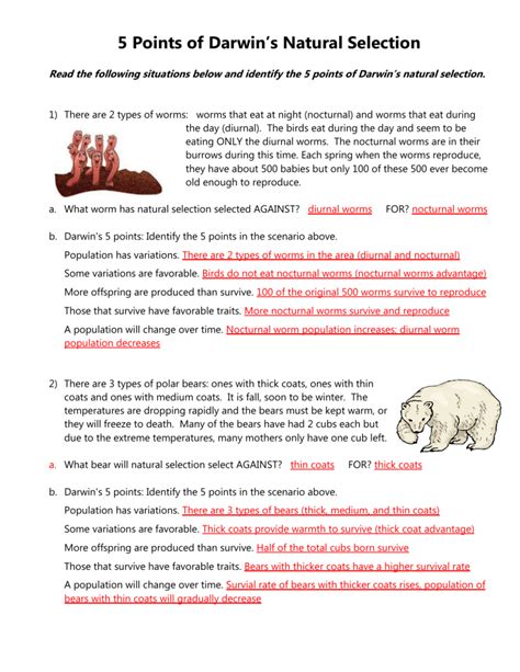 Darwin Natural Selection Worksheet Answer Key Doc