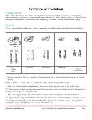 Darwins Theory Of Evolution Packet Answers Epub