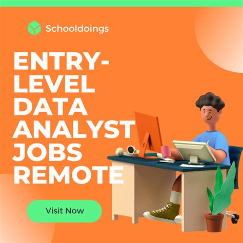 Data Analyst Remote Jobs: A Guide for Entry-Level Professionals