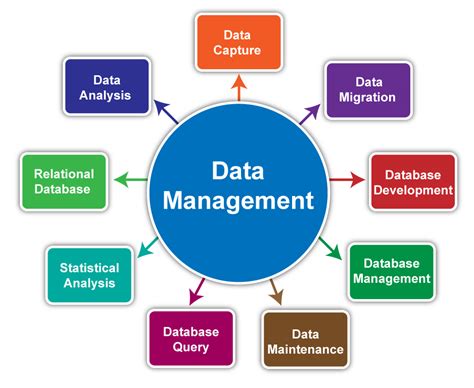 Data Management Databases and Organizations Epub