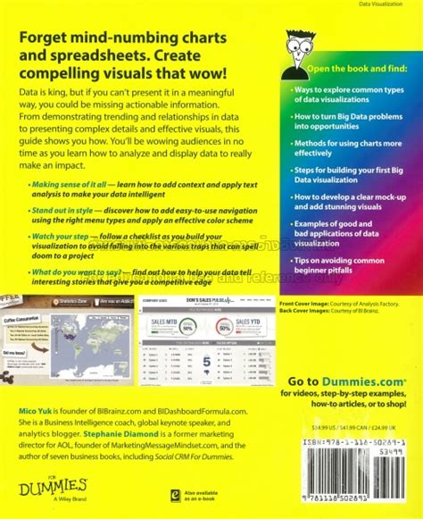 Data Visualization For Dummies Doc