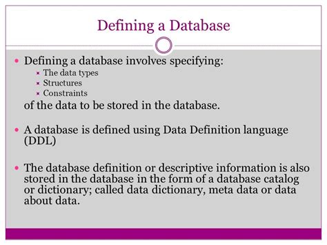 Database Catalog Or Dictionary Defining Descriptive
