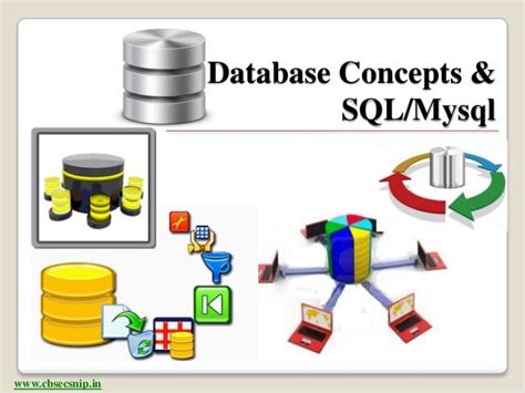 Database Concepts and Oracle SQL Interactv Pk Epub