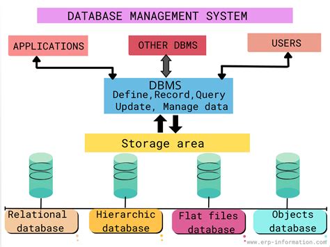 Database Management: