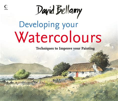 David Bellamys Developing Your Watercolours: Techniques to Impr Ebook Doc