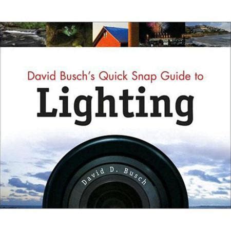 David Busch s Quick Snap Guide To Lighting Kindle Editon