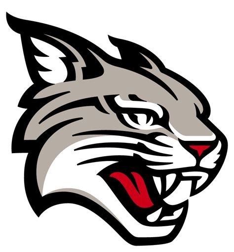 Davidson Basketball Forum: A Comprehensive Guide for Wildcats Enthusiasts