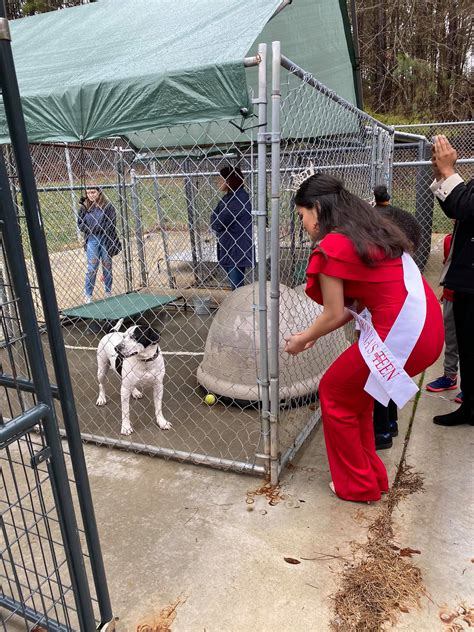 Davidson County Animal Shelter: 5,000+ Lives Saved and Counting