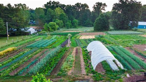 Day 1-5: Establishing Your Farm