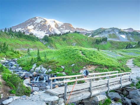 Day Hiking: Mount Rainier National Park Trails Epub