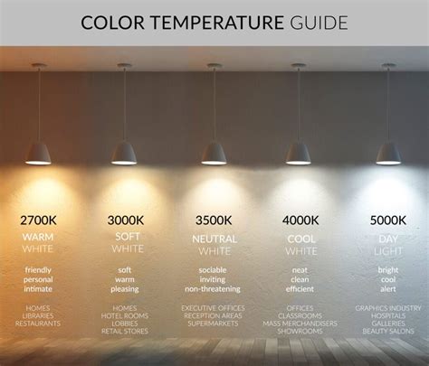 Daylight LED Light: The Ultimate Guide (10,000+ Words)