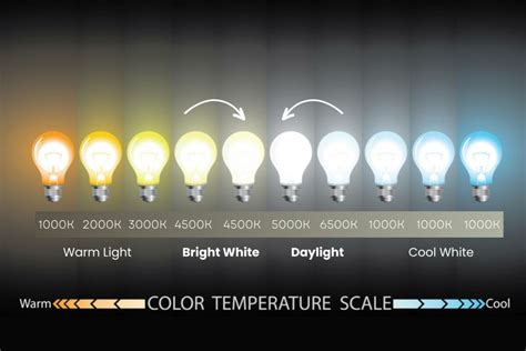 Daylight LED Light Bulbs: A Comprehensive Guide to Enhanced Illumination