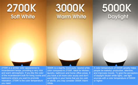 Daylight LED Light Bulbs: Transform Your Home with 6,500K Brightness