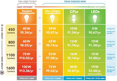 Daylight LED Light Bulbs: Your Guide to Energy-Efficient, Natural Lighting