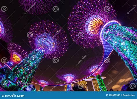 Dazzling Light Displays