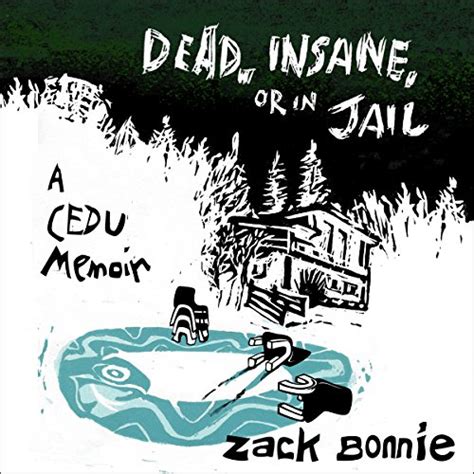 Dead Insane or in Jail A CEDU Memoir Epub