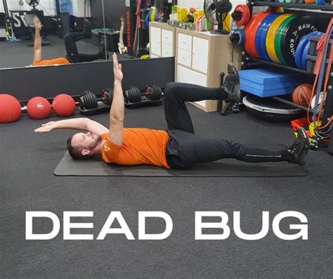 Dead bug exercise Ebook Epub