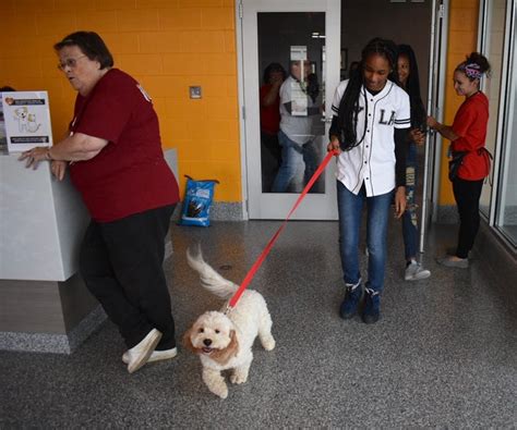 Dearborn Animal Shelter Adoption: A Journey to a Fulfilling Bond