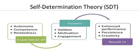 Deci Means: Unveiling the Power of Motivational Self-Determination