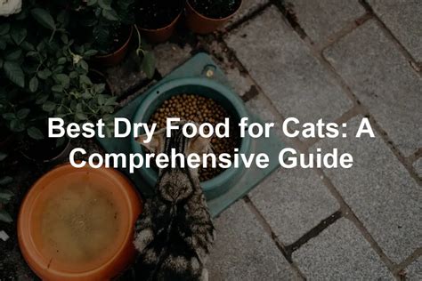 Deciphering the Ingredients: A Comprehensive Guide to Dry Cat Food Components