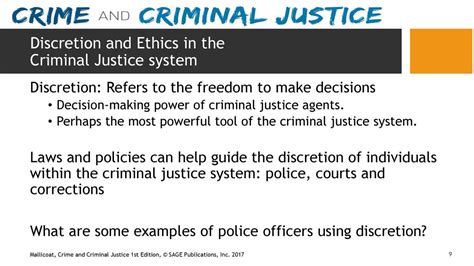 Decision Making in Criminal Justice 1st Edition Epub