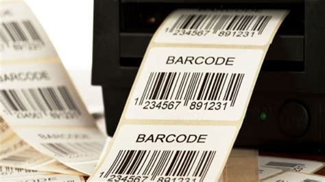 Decoding Efficiency: Must-Have Barcode Label Examples for Your Business