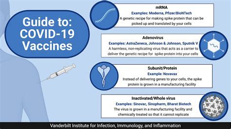 Decoding Vaccine Slots: A Comprehensive Guide to Finding and Securing Your Dose